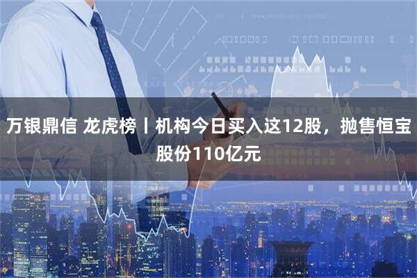 万银鼎信 龙虎榜丨机构今日买入这12股，抛售恒宝股份110亿元