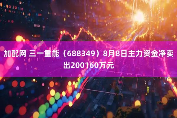 加配网 三一重能（688349）8月8日主力资金净卖出200160万元