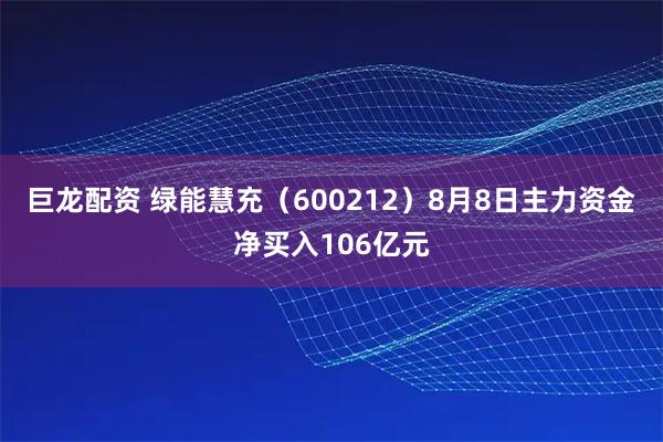 巨龙配资 绿能慧充（600212）8月8日主力资金净买入106亿元