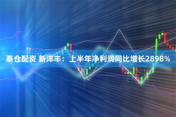泰仓配资 新洋丰：上半年净利润同比增长2898%