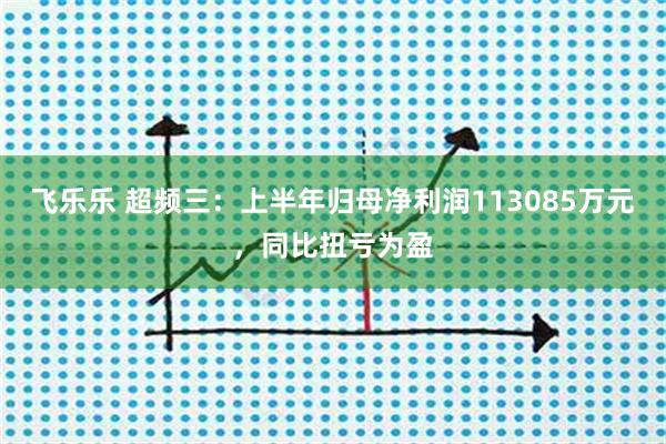 飞乐乐 超频三：上半年归母净利润113085万元，同比扭亏为盈