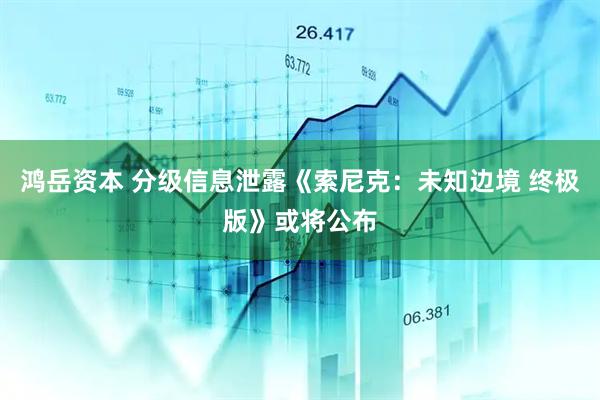 鸿岳资本 分级信息泄露《索尼克：未知边境 终极版》或将公布