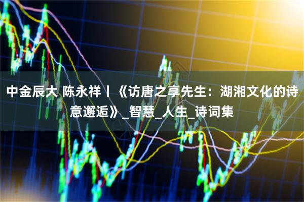中金辰大 陈永祥丨《访唐之享先生：湖湘文化的诗意邂逅》_智慧_人生_诗词集