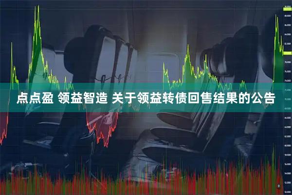 点点盈 领益智造 关于领益转债回售结果的公告