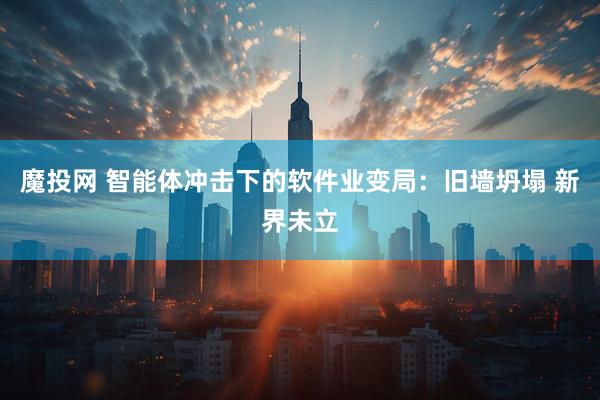 魔投网 智能体冲击下的软件业变局：旧墙坍塌 新界未立